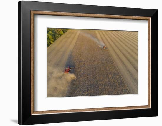 Aerial view of combine-harvesters harvesting in field, Marion Co,. Illinois, USA-Panoramic Images-Framed Photographic Print