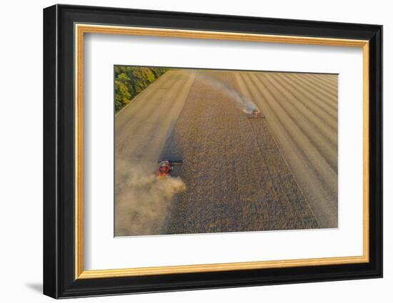 Aerial view of combine-harvesters harvesting in field, Marion Co,. Illinois, USA-Panoramic Images-Framed Photographic Print