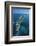 Aerial View of Contoy Island from the North-Claudio Contreras-Framed Photographic Print