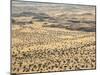 Aerial View of Damaraland, Kaokoland Wilderness in Nw Region, Namibia, Africa-Kim Walker-Mounted Photographic Print