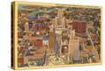 Stretched Canvas Print