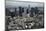 Aerial View. of Downtown Los Angeles-David Wall-Mounted Photographic Print