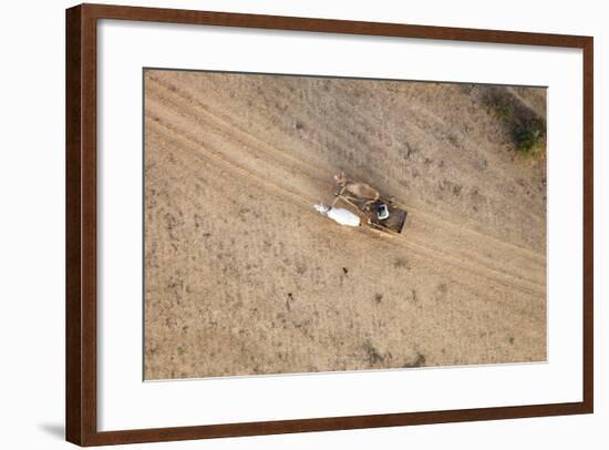 Aerial View of Farmer on Dirt Road in Bagan, Myanmar-Harry Marx-Framed Photographic Print