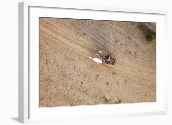 Aerial View of Farmer on Dirt Road in Bagan, Myanmar-Harry Marx-Framed Photographic Print