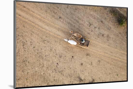 Aerial View of Farmer on Dirt Road in Bagan, Myanmar-Harry Marx-Mounted Photographic Print