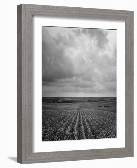 Aerial View of Farmland in the Midwest-null-Framed Photographic Print