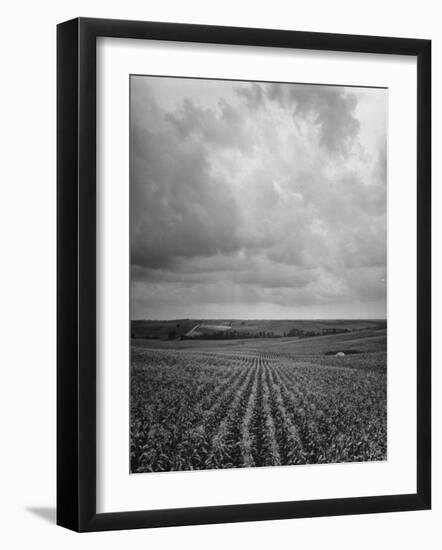 Aerial View of Farmland in the Midwest-null-Framed Photographic Print