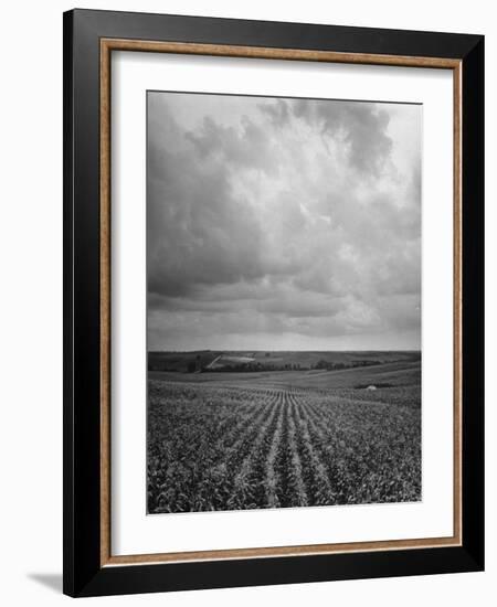 Aerial View of Farmland in the Midwest-null-Framed Photographic Print