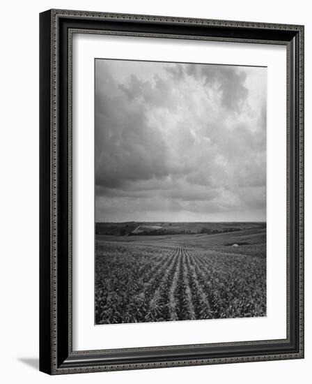 Aerial View of Farmland in the Midwest-null-Framed Photographic Print