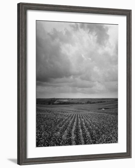 Aerial View of Farmland in the Midwest-null-Framed Photographic Print