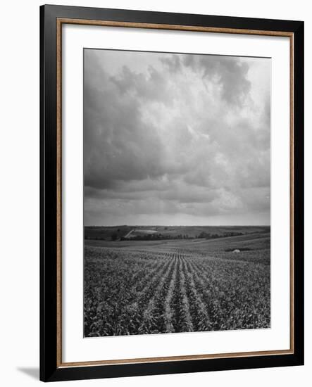 Aerial View of Farmland in the Midwest--Framed Photographic Print