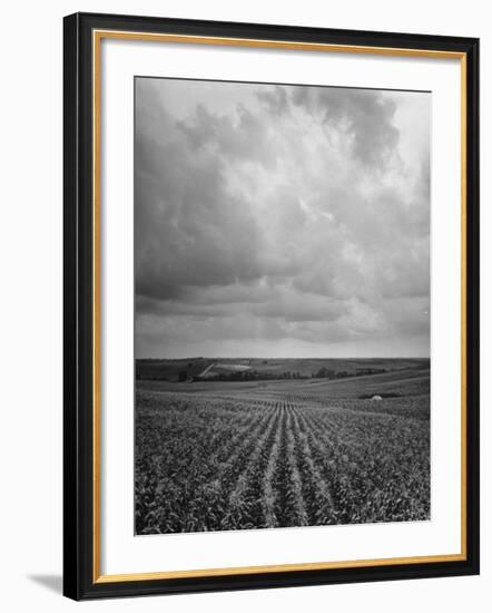 Aerial View of Farmland in the Midwest-null-Framed Photographic Print