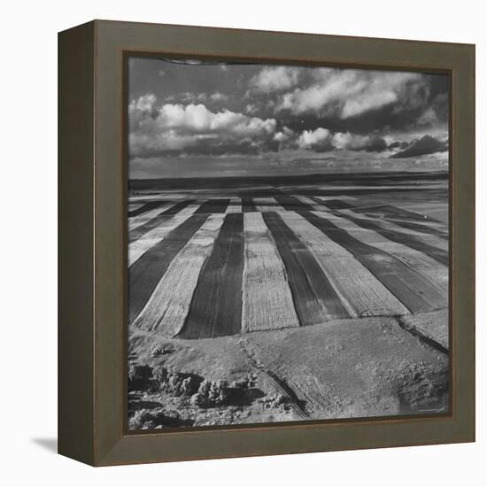 Aerial View of Farmland-Stan Wayman-Framed Premier Image Canvas