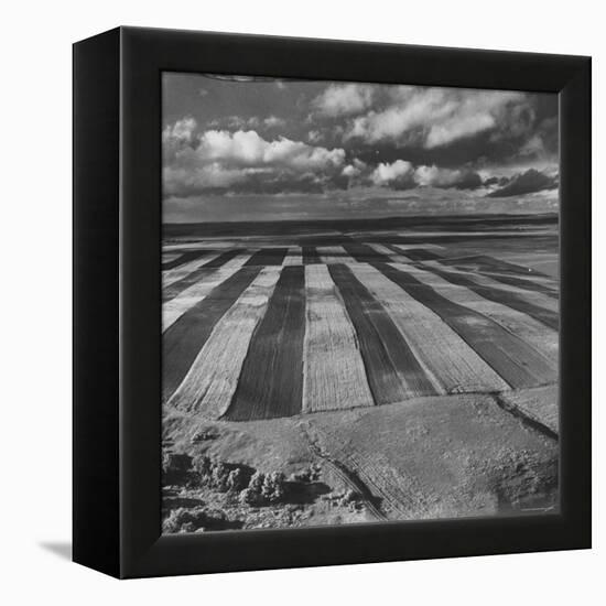 Aerial View of Farmland-Stan Wayman-Framed Premier Image Canvas