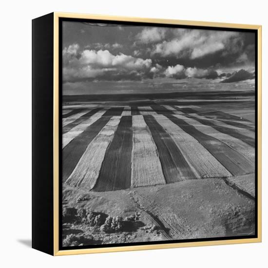 Aerial View of Farmland-Stan Wayman-Framed Premier Image Canvas