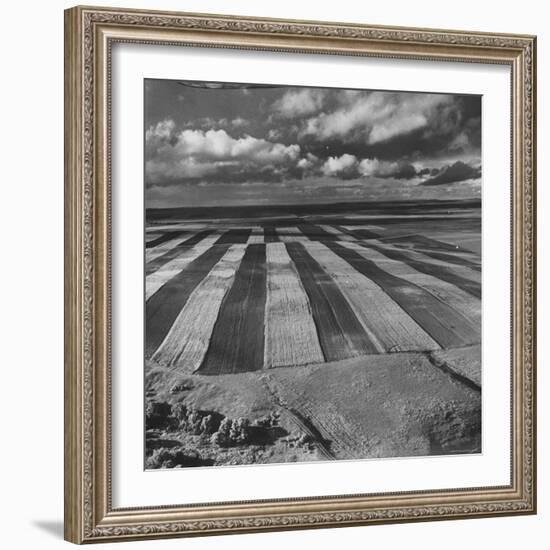 Aerial View of Farmland-Stan Wayman-Framed Photographic Print