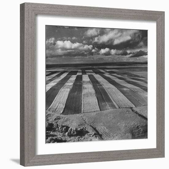 Aerial View of Farmland-Stan Wayman-Framed Photographic Print