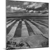 Aerial View of Farmland-Stan Wayman-Mounted Photographic Print