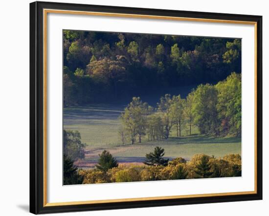 Aerial View of Forest in Cades Cove, Great Smoky Mountains National Park, Tennessee, USA-Adam Jones-Framed Photographic Print