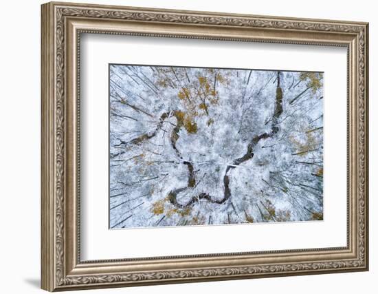 Aerial view of forest in winter, Marion Co., Illinois, USA-Panoramic Images-Framed Photographic Print