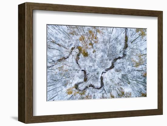 Aerial view of forest in winter, Marion Co., Illinois, USA-Panoramic Images-Framed Photographic Print