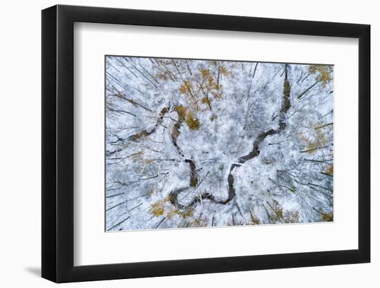 Aerial view of forest in winter, Marion Co., Illinois, USA-Panoramic Images-Framed Photographic Print