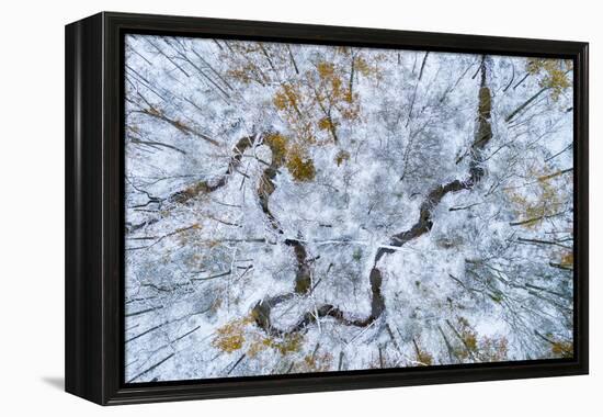 Aerial view of forest in winter, Marion Co., Illinois, USA-Panoramic Images-Framed Premier Image Canvas