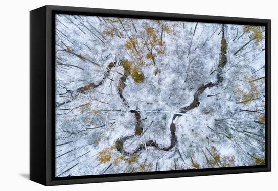 Aerial view of forest in winter, Marion Co., Illinois, USA-Panoramic Images-Framed Premier Image Canvas