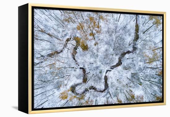 Aerial view of forest in winter, Marion Co., Illinois, USA-Panoramic Images-Framed Premier Image Canvas