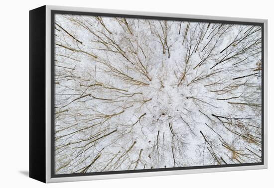 Aerial view of forest in winter, Marion Co., Illinois, USA-Panoramic Images-Framed Premier Image Canvas