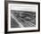 Aerial View of Fort Lauderdale Beach, 1950-null-Framed Photographic Print