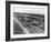 Aerial View of Fort Lauderdale Beach, 1950-null-Framed Photographic Print