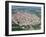 Aerial View of Fortifications of Marshal Vauban, Town of Toul, Meurthe-Et-Moselle, Lorraine, France-Bruno Barbier-Framed Photographic Print