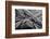 Aerial view of freeway interchange, City Of Los Angeles, Los Angeles County, California, USA-Panoramic Images-Framed Photographic Print