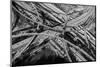 Aerial view of freeway interchange, City Of Los Angeles, Los Angeles County, California, USA-Panoramic Images-Mounted Photographic Print