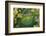 Aerial View of Golf Course Huelva Province, Spain-Peter Adams-Framed Photographic Print