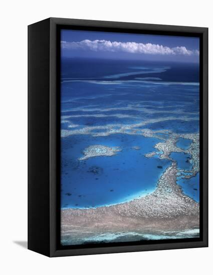 Aerial View of Great Barrier Reef, Queensland, Australia-Danielle Gali-Framed Premier Image Canvas