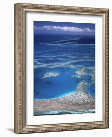 Aerial View of Great Barrier Reef, Queensland, Australia-Danielle Gali-Framed Photographic Print