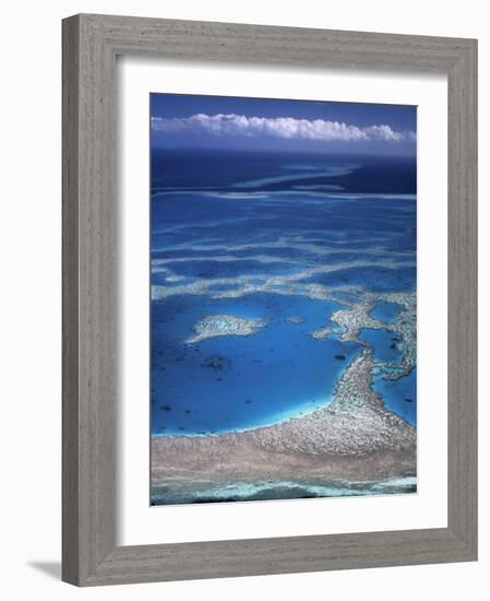 Aerial View of Great Barrier Reef, Queensland, Australia-Danielle Gali-Framed Photographic Print