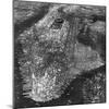 Aerial View of Greater New York, Showing Manhattan Island-null-Mounted Photographic Print