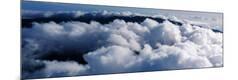 Premium Photographic Print