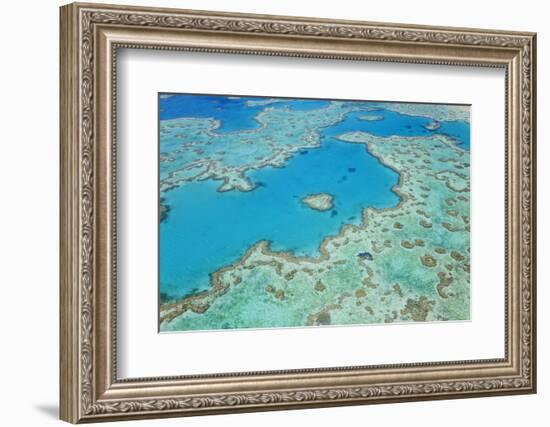 Aerial View of Heart Reef, Great Barrier Reef, Queensland, Australia-Peter Adams-Framed Photographic Print