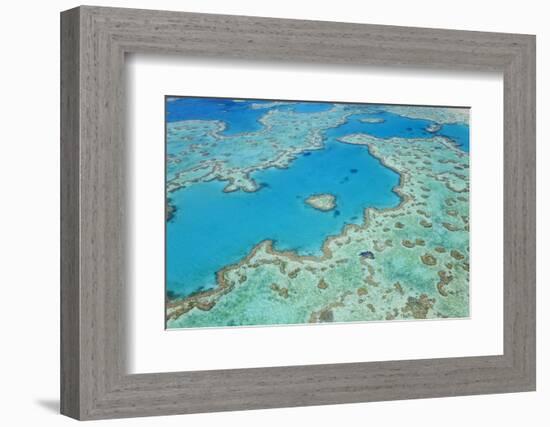 Aerial View of Heart Reef, Great Barrier Reef, Queensland, Australia-Peter Adams-Framed Photographic Print