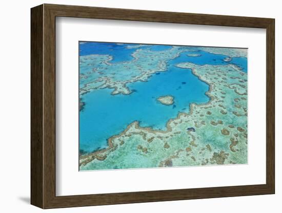 Aerial View of Heart Reef, Great Barrier Reef, Queensland, Australia-Peter Adams-Framed Photographic Print