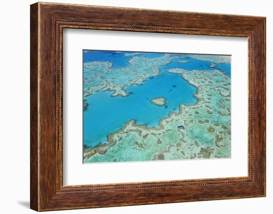 Aerial View of Heart Reef, Great Barrier Reef, Queensland, Australia-Peter Adams-Framed Photographic Print