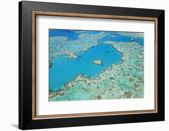 Aerial View of Heart Reef, Great Barrier Reef, Queensland, Australia-Peter Adams-Framed Photographic Print