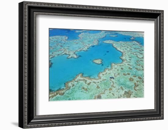 Aerial View of Heart Reef, Great Barrier Reef, Queensland, Australia-Peter Adams-Framed Photographic Print