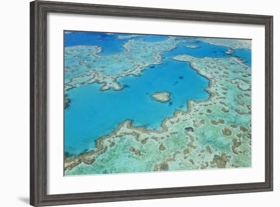 Aerial View of Heart Reef, Great Barrier Reef, Queensland, Australia-Peter Adams-Framed Photographic Print