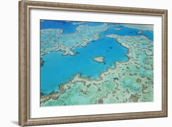 Aerial View of Heart Reef, Great Barrier Reef, Queensland, Australia-Peter Adams-Framed Photographic Print