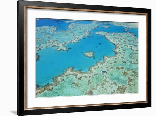 Aerial View of Heart Reef, Great Barrier Reef, Queensland, Australia-Peter Adams-Framed Photographic Print